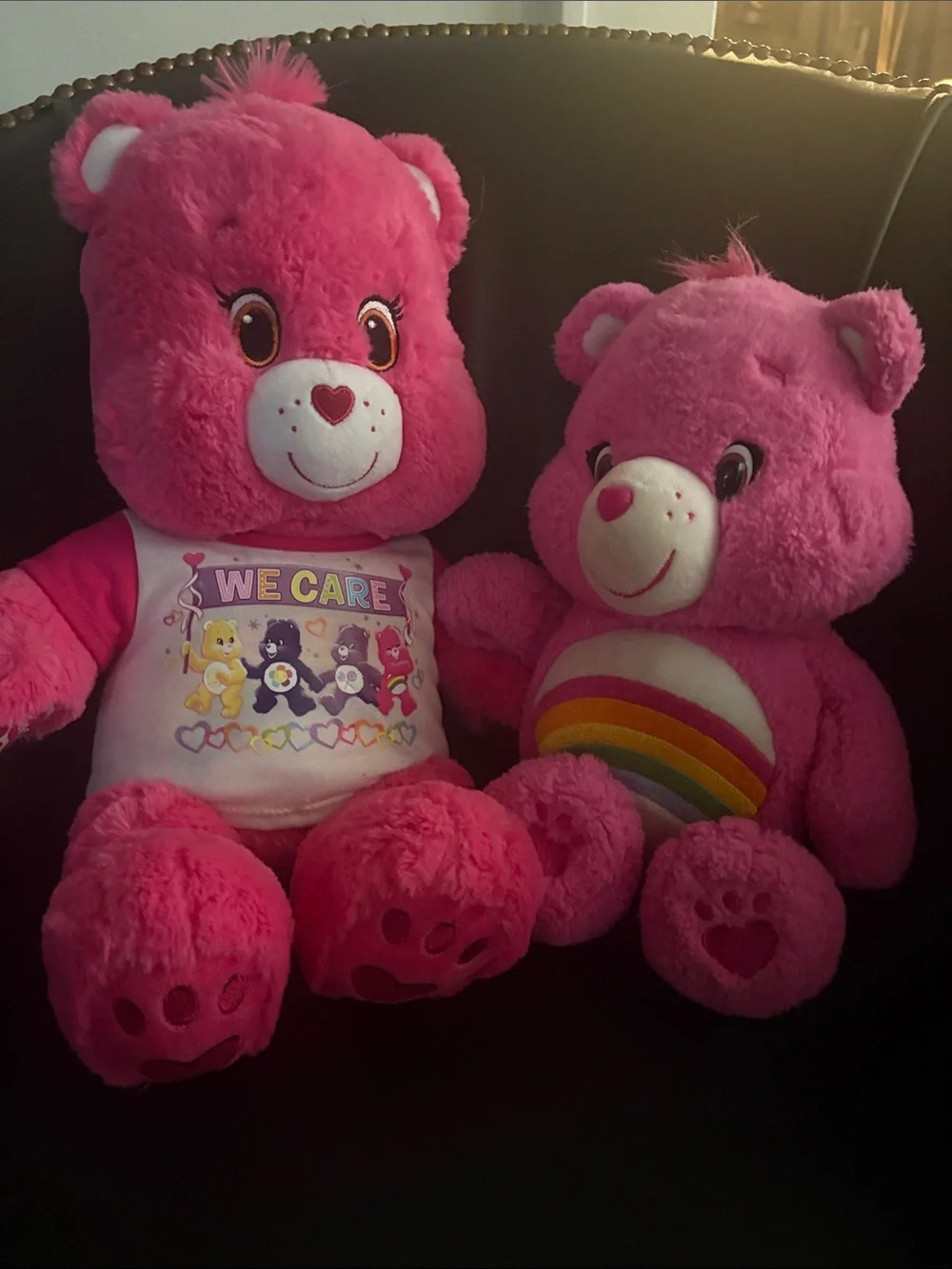 Care Bears Bright Pink Plush Pair - Rainbow & 'We Care' Designs
